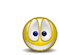 Blume :flowers: